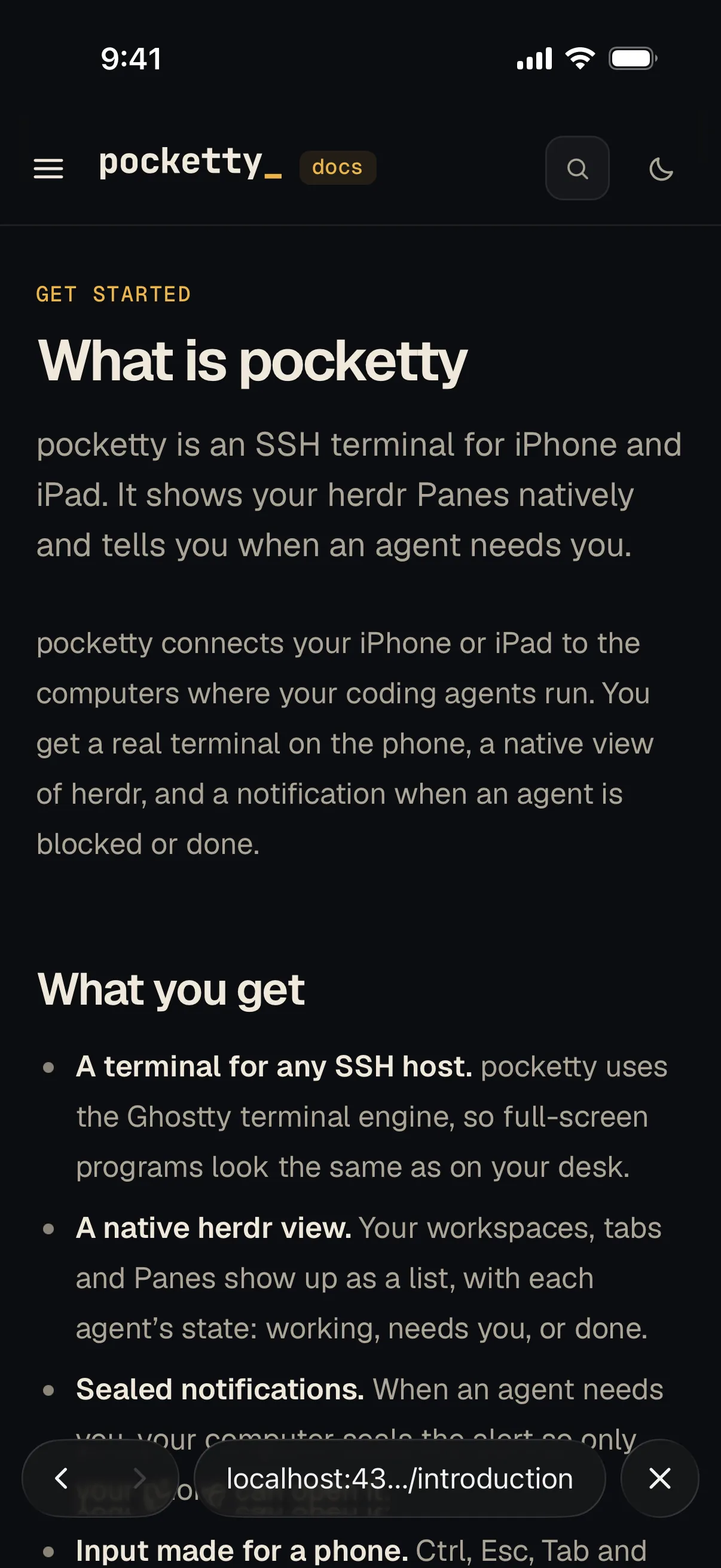 The pocketty website, served on localhost, open in the preview.